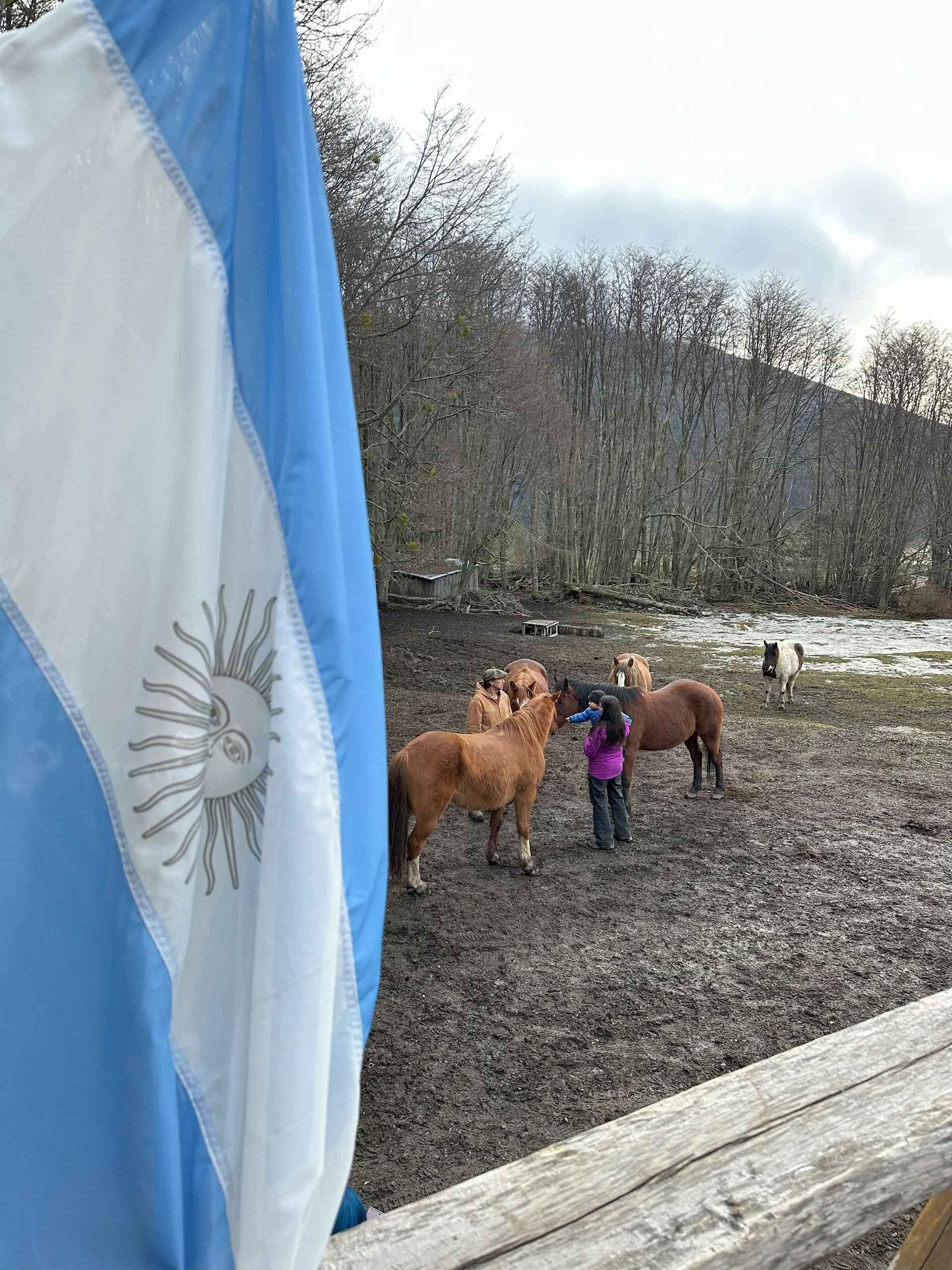 Cabalgatas Ushuaia 9