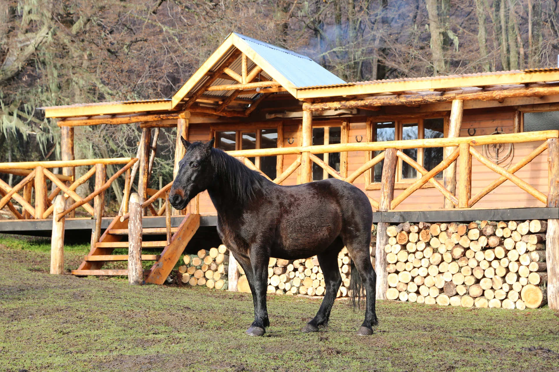 Cabalgatas Ushuaia 6