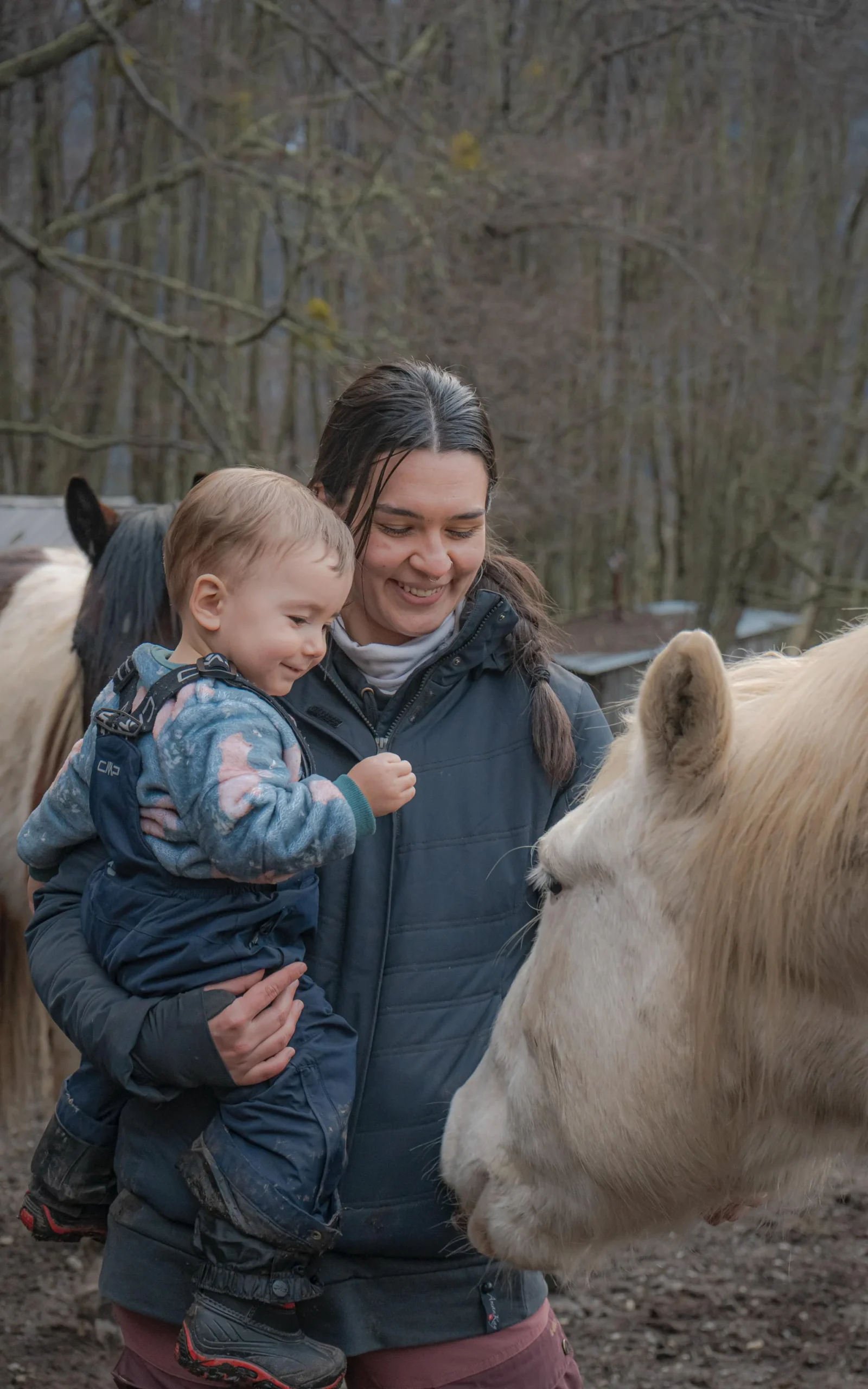 Cabalgatas Ushuaia 3